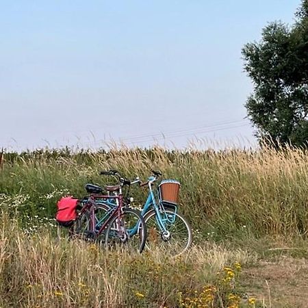 Lwb Ferienwohnung "Auszeit Im Denkmal" Wittenberg Bagian luar foto