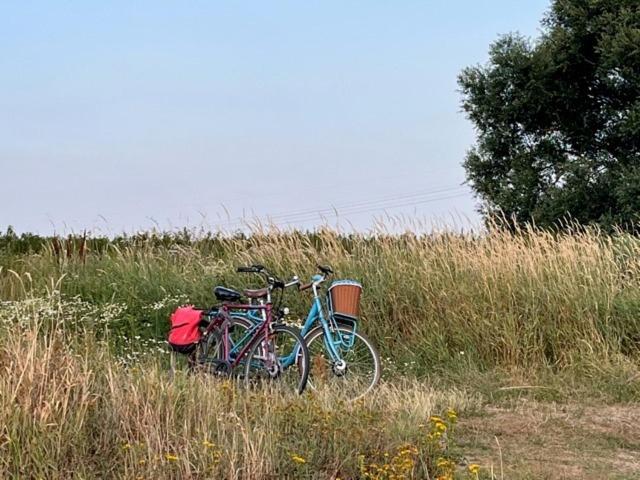 Lwb Ferienwohnung "Auszeit Im Denkmal" Wittenberg Bagian luar foto